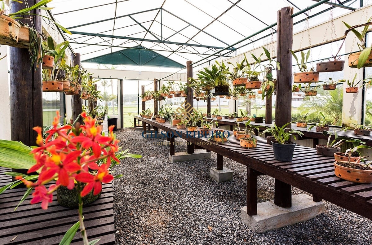 Terreno para Venda no caledônia em Camboriú